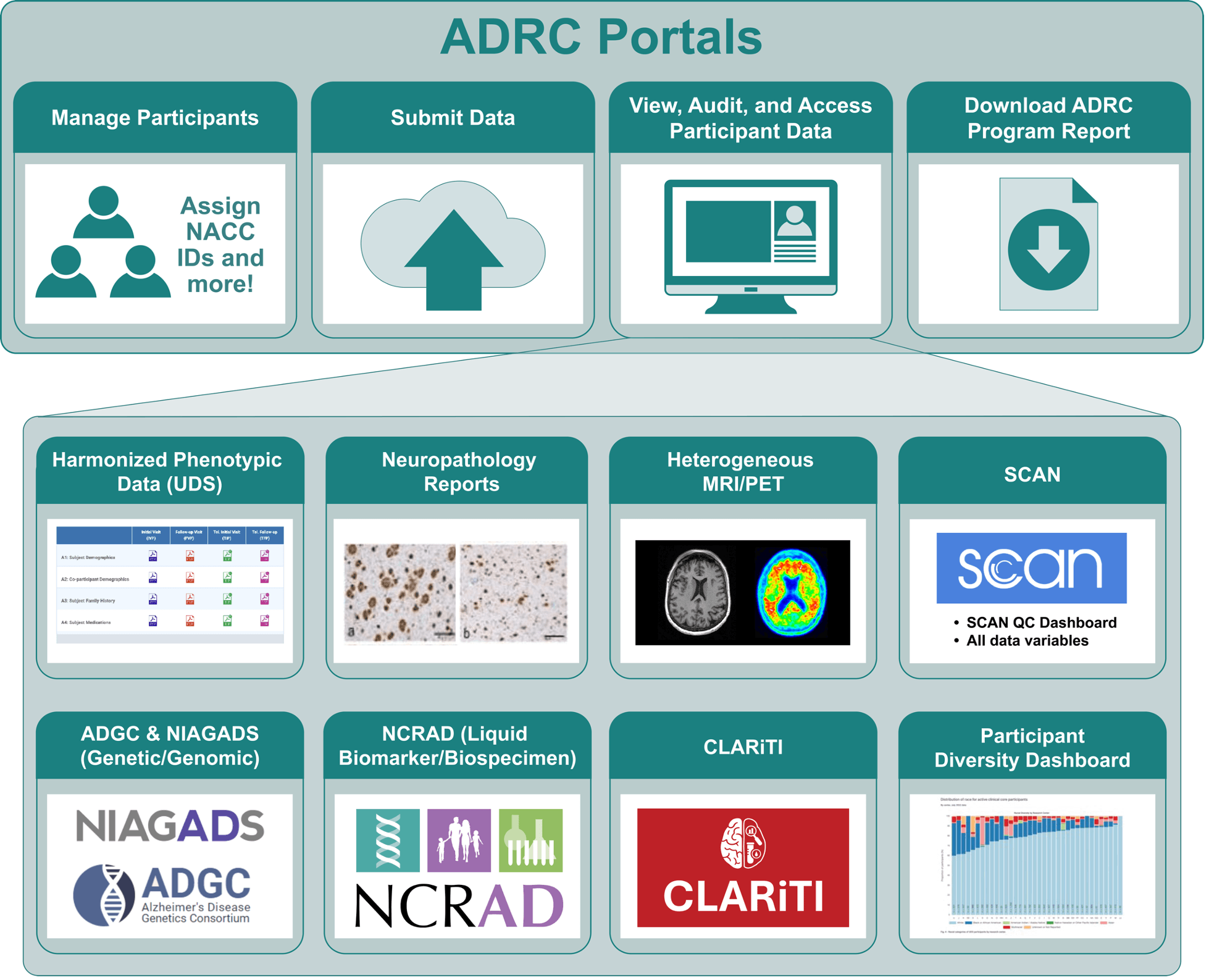 NACC Data Portal overview