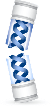 Broken test tube with DNA strand